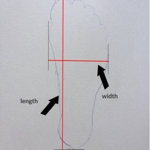 Shoe Fit